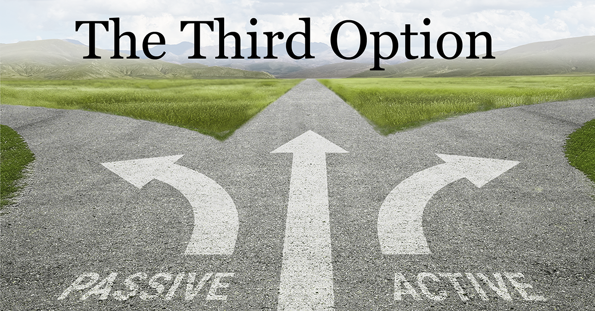 A three-way road split in a grassy landscape with arrows pointing left to 'Passive,' right to 'Active,' and straight ahead under the title 'The Third Option.'